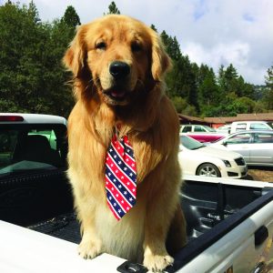 Mayor Max, Idyllwild's Public Servant