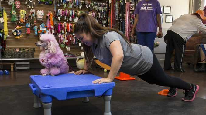 Metro Pet Spa & Fitness Centers and K9 Fit Club® Los Angeles Grand Opening Celebration. Photo credit: Angela Chen Photography email:  acpeters@charter.net website:www.angelachenphotography.com