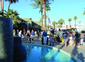 Palm Desert Poodle Walk, Nov. 2017