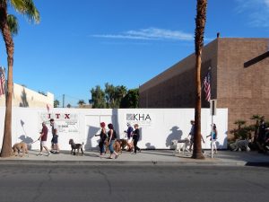 Palm Desert Poodle Walk, Nov. 2017