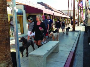 Palm Desert Poodle Walk, Nov. 2017