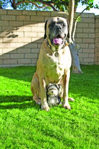 Fiona poses with tiny friend